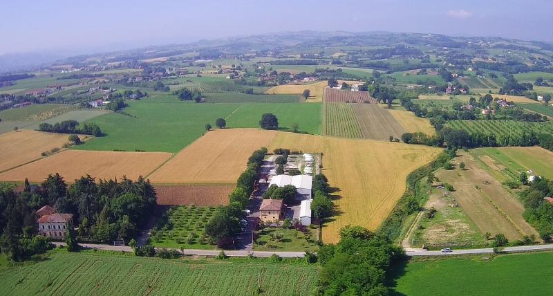 Bei ricordi... Attendiamo fiduciosi la ripartenza...